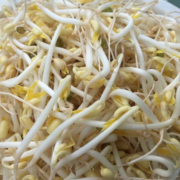 May-Lam-Gia-Do-Tu-Phun-Nuoc